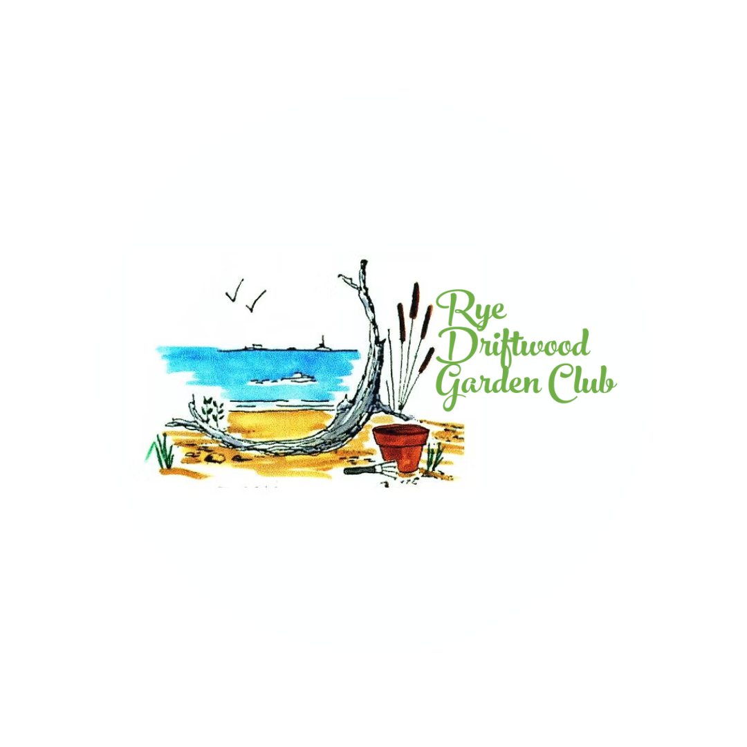 Logo for Rye Driftwood Garden Club. Logo shows a sunny beach motif with a plant pot and hand rake.